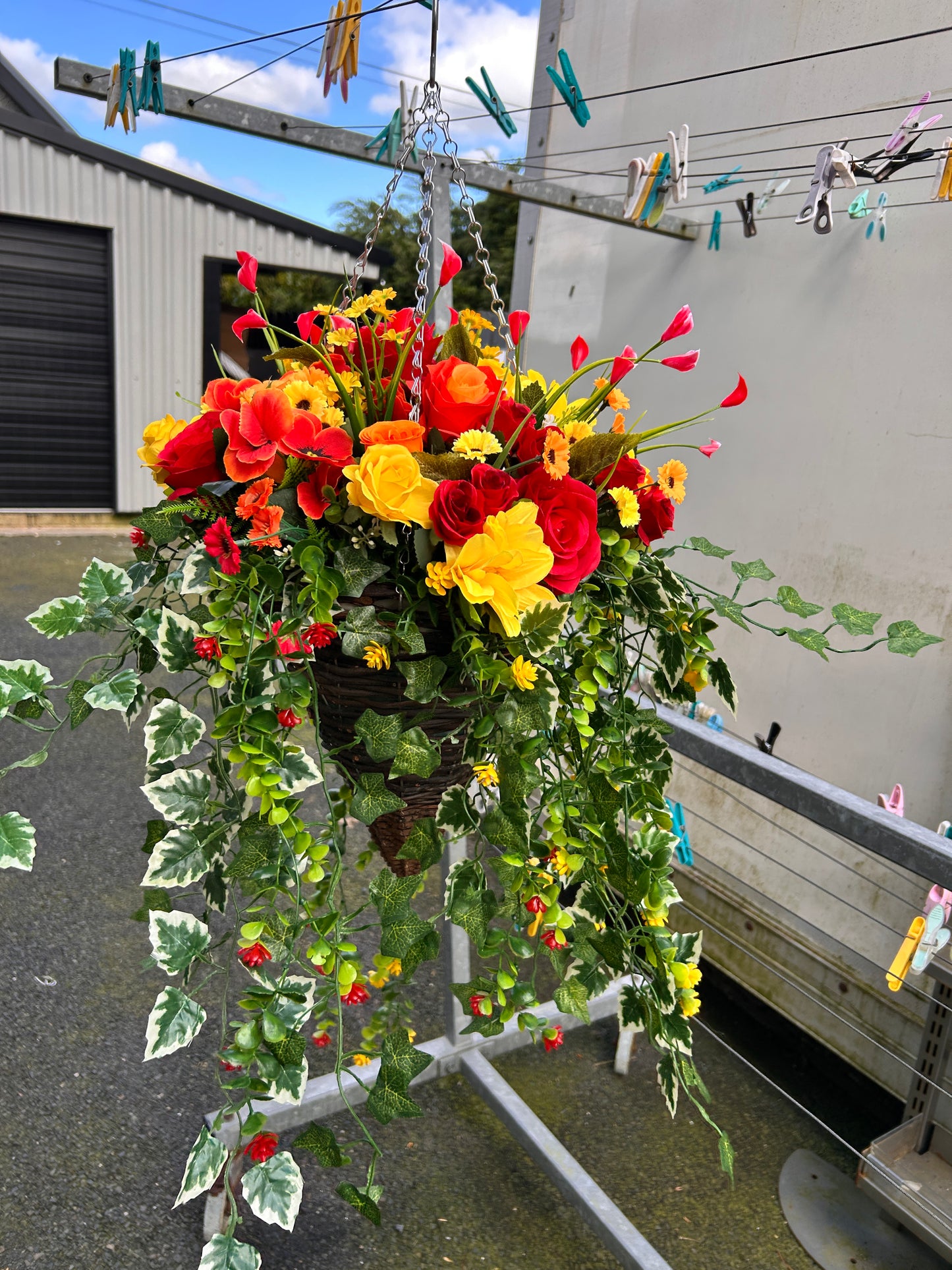 Hanging baskets