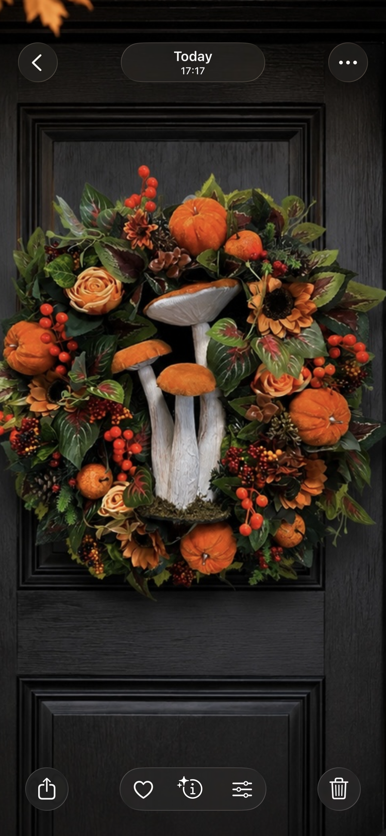 Autumn 60cm